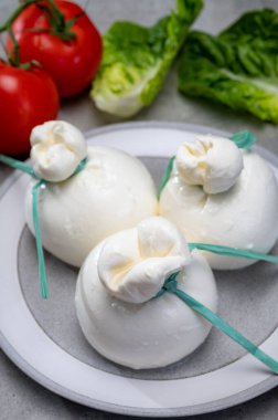Peynir koleksiyonu, Puglia 'dan taze İtalyan peyniri, beyaz burrata topları veya mozzarella ve kremadan yapılmış burratina peyniri.