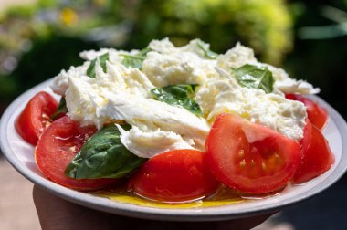Vejetaryen caprese salatası, bufalo mozzarella peyniri, taze fesleğen, domates, zeytinyağı. İtalyan yemekleri terasta servis edilir, yakın.