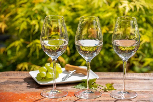 White wine tasting on winery terrace, pouring of cold dry wine in glasses outdoor in sunny day