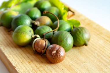 Taze taze Avustralya Macadamia fındığı hasadı kabuklu ve yapraklı.