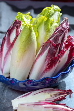 Group of fresh green Belgian endive or chicory and red Radicchio vegetables, also known as witlof salade close up clipart