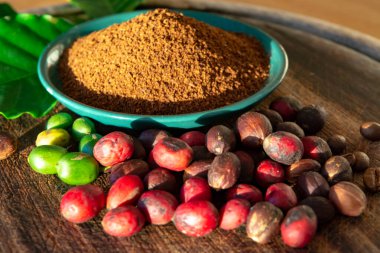 Kırmızı olgun ve kurutulmuş organik Arabika kahve çekirdekleri, biyoloji kahve çiftliğinde taze kahve.