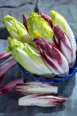 Group of fresh green Belgian endive or chicory and red Radicchio vegetables, also known as witlof salade close up clipart