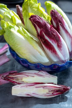 Group of fresh green Belgian endive or chicory and red Radicchio vegetables, also known as witlof salade close up clipart