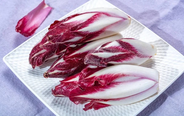 Gruppo Cicoria Radicchio Rosso Fresco Indivia Belga Noto Anche Come — Foto Stock