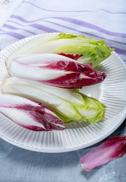 Friss Zöld Belga Endívia Vagy Cikória Vörös Radicchio Zöldségek Csoportja — Stock Fotó