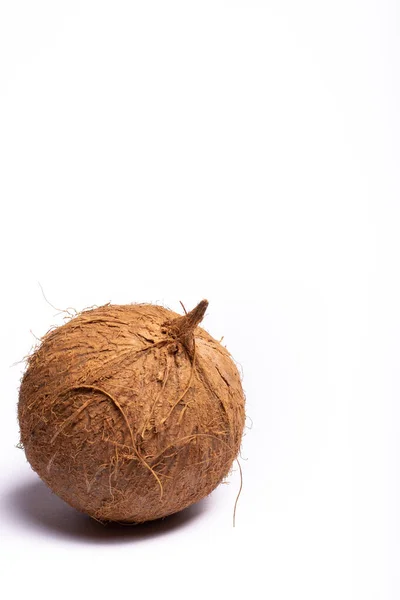 一个棕色的大椰子紧密地把复制空间隔离在白色背景上 — 图库照片