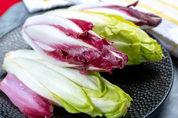 新鮮な緑のベルギーのエンダイブやチコリと赤ラディッキオの野菜のグループは 近くのサラダの野生として知られています — ストック写真