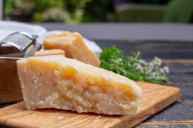 Geleneksel İtalyan yemekleri - 36 aylık mağaralarda İtalyan parmesan peyniri Parmigiano-Reggiano, İtalya 'dan
