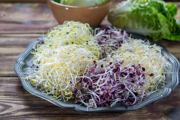 Rauwe Jonge Biologische Prei Spruiten Alfalfa Roodachtig Vermengd Met Tin — Stockfoto