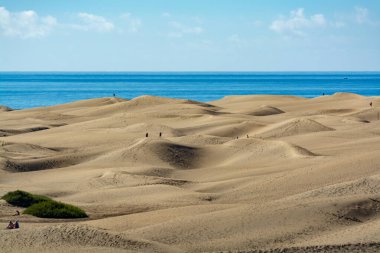Maspalomların sarı kumlu kumulları ve mavi Atlantik Okyanusu, Büyük Kanarya, Kanarya Adaları, İspanya