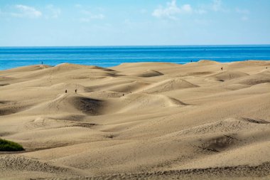 Maspalomların sarı kumlu kumulları ve mavi Atlantik Okyanusu, Büyük Kanarya, Kanarya Adaları, İspanya
