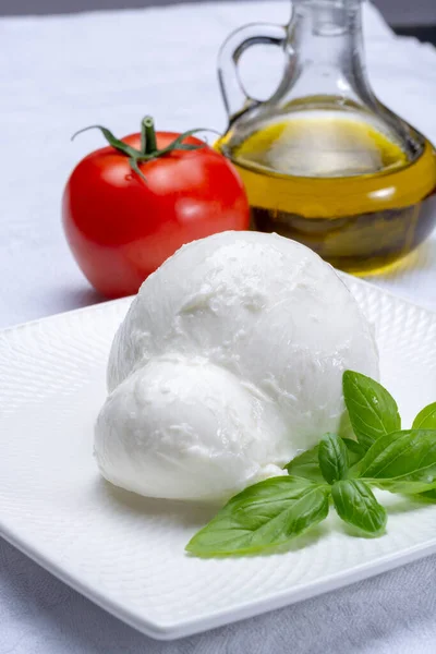 Frischer Italienischer Weichkäse Mozzarella Büffel Original Aus Kampanien Paestrum Und — Stockfoto