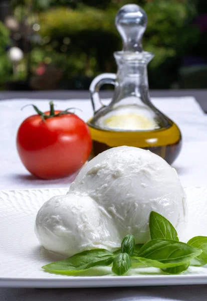 Búfalo Mussarela Queijo Branco Italiano Macio Fresco Originário Das Regiões — Fotografia de Stock