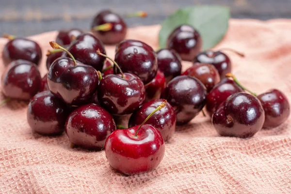 Riesige Reife Schwarze Kirschen Neue Ernte Aus Nächster Nähe Verzehren — Stockfoto