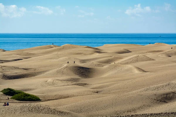 Paisaje Con Dunas Arena Amarilla Maspalomas Océano Atlántico Azul Gran —  Fotos de Stock