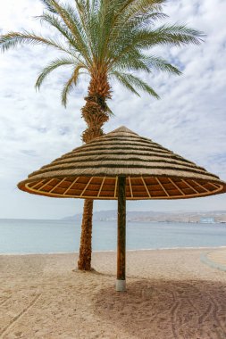 Eilat 'taki Kızıl Deniz' de güzel halk kumlu plajlar. Şemsiyeli, İsrail 'deki lüks tatil merkezleri.