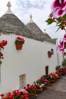 Eşsiz küçük Güney İtalya şehri Alberobello antika taşlarla koni evleri trullo, turizm merkezi, Bari yakınlarındaki Apulia bölgesi.