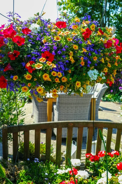 Details Des Frühlings Oder Sommergartens Voller Farbenfroher Blumen — Stockfoto