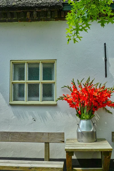 Duży Bukiet Czerwonych Gladiolus Kwiaty Starym Mlekiem Może Stole Zewnątrz — Zdjęcie stockowe