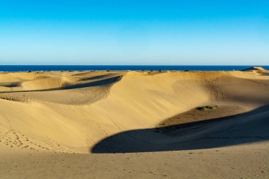 Maspalomların sarı kumlu kumulları ve mavi Atlantik Okyanusu, Büyük Kanarya, Kanarya Adaları, İspanya