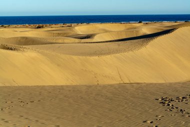 Maspalomların sarı kumlu kumulları ve mavi Atlantik Okyanusu, Büyük Kanarya, Kanarya Adaları, İspanya