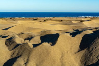 Maspalomların sarı kumlu kumulları ve mavi Atlantik Okyanusu, Büyük Kanarya, Kanarya Adaları, İspanya