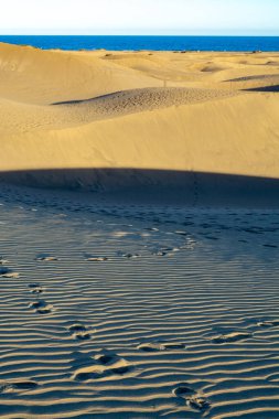 Maspalomların sarı kumlu kumulları ve mavi Atlantik Okyanusu, Büyük Kanarya, Kanarya Adaları, İspanya