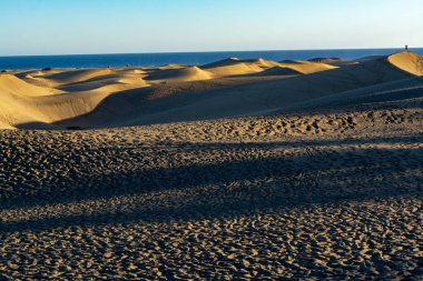 Maspalomların sarı kumlu kumulları ve mavi Atlantik Okyanusu, Büyük Kanarya, Kanarya Adaları, İspanya