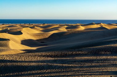 Maspalomların sarı kumlu kumulları ve mavi Atlantik Okyanusu, Büyük Kanarya, Kanarya Adaları, İspanya