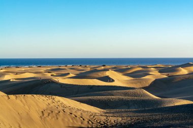 Maspalomların sarı kumlu kumulları ve mavi Atlantik Okyanusu, Büyük Kanarya, Kanarya Adaları, İspanya