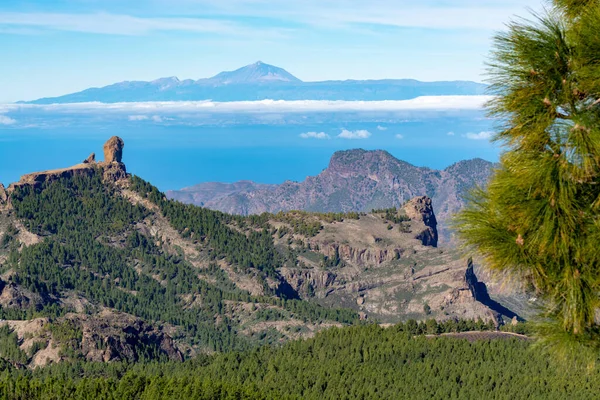 Горы Долины Острова Гран Канария Вид Самой Высокой Вершины Пико — стоковое фото