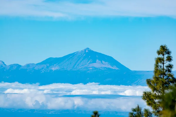 Green Canarian Pine Mountains Landscape Gran Canaria Island View Mount — Foto de Stock