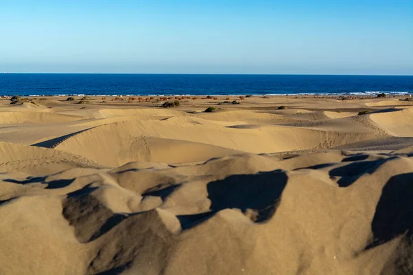 マスパロマスと青い大西洋の黄色の砂丘の風景 グラン カナリア諸島 カナリア諸島 スペイン — ストック写真