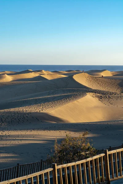 Paisaje Con Dunas Arena Amarilla Maspalomas Océano Atlántico Azul Gran —  Fotos de Stock