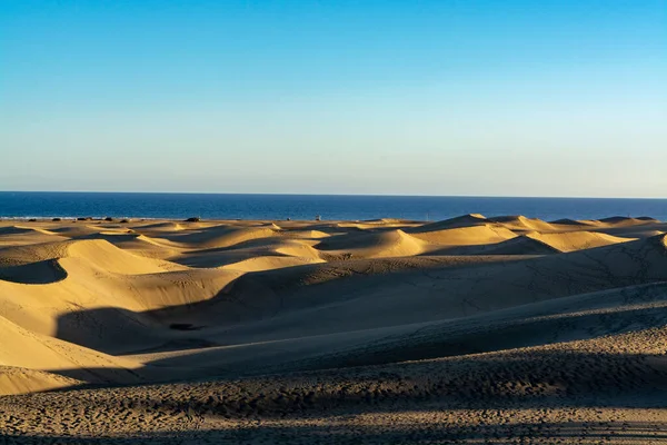 Landschap Met Gele Zandduinen Van Maspalomas Blauwe Atlantische Oceaan Gran — Stockfoto