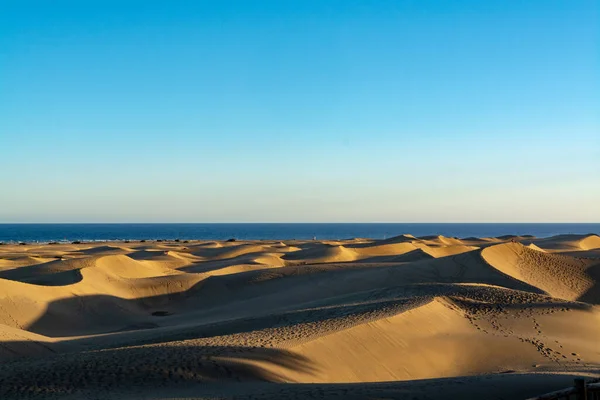 Landscape with yellow sandy dunes of Maspalomas and blue Atlantic ocean, Gran Canaria, Canary islands, Spain