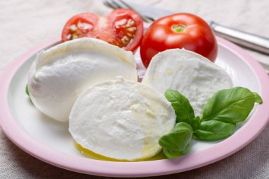 Yumuşak beyaz İtalyan peyniri Mozzarella bufalosu taze domates ve yeşil fesleğen yapraklarıyla servis edilir.