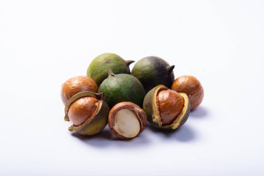 Taze fındık hasadı, kabuklu yeşil macadamia fındığı ve beyaz arka planda izole edilmiş fındık.