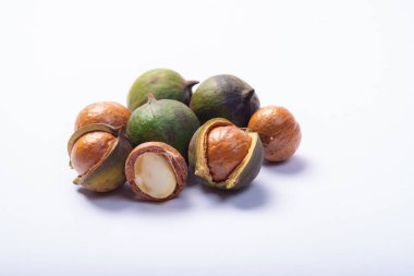 Taze fındık hasadı, kabuklu yeşil macadamia fındığı ve beyaz arka planda izole edilmiş fındık.