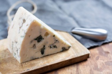 Rokfor, Fransa 'nın güneyinde koyun sütünden yapılan yumuşak Fransız peyniri, mavi küflü dünyanın en iyi bilinen mavi peynirlerinden biri.