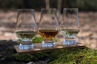 Islay Adası 'ndan viski tatmak, İskoçya' daki tüm viskilerin en yoğun tatlandırıcısı yeşil yosun ve eski ağaç kökü.