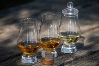 Islay Adası 'ndan viski tatmak, İskoçya' daki viskilerin en yoğun tatlandırıcısı güneşli bir günde eski bahçe masasında.