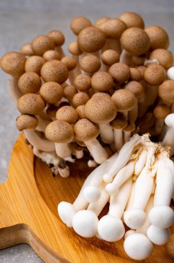 Asya 'dan taze pişmemiş ona kahverengisi ve bunapi beyazı yenebilir mantar, umami tadım bileşikleri bakımından zengin, örneğin guanyum ve glutamik asit.