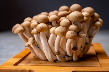 Asya 'dan taze pişmemiş kahverengi shimeji mantarları, Ganyum ve glutamik asit gibi umami tatma bileşikleri bakımından zengin.