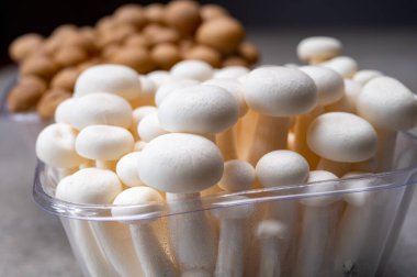 Asya 'dan taze pişmemiş ona kahverengisi ve bunapi beyazı yenebilir mantar, umami tadım bileşikleri bakımından zengin, örneğin guanyum ve glutamik asit.