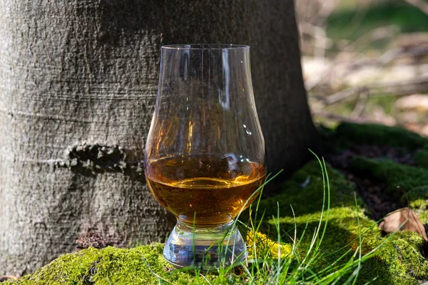 Degustacja Szkockiej Whisky Single Malt Wyspy Islay Najbardziej Intensywnie Smakowanej — Zdjęcie stockowe