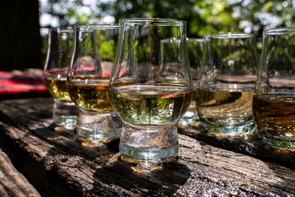 Proef Verschillende Schotse Whisky Het Terras Een Glas Whisky Een — Stockfoto