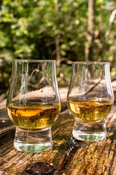 Degustación Diferentes Whiskies Escoceses Terraza Aire Libre Dram Whisky Cerca — Foto de Stock