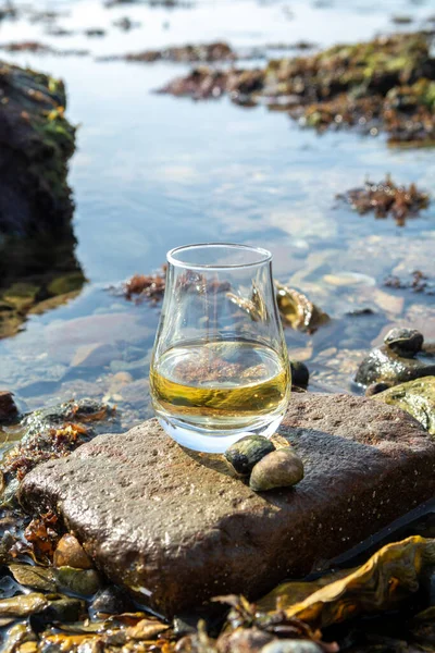 Tasting glass of Scotch whisky and sea shore background during low tide, smoky whisky pairing with oysters